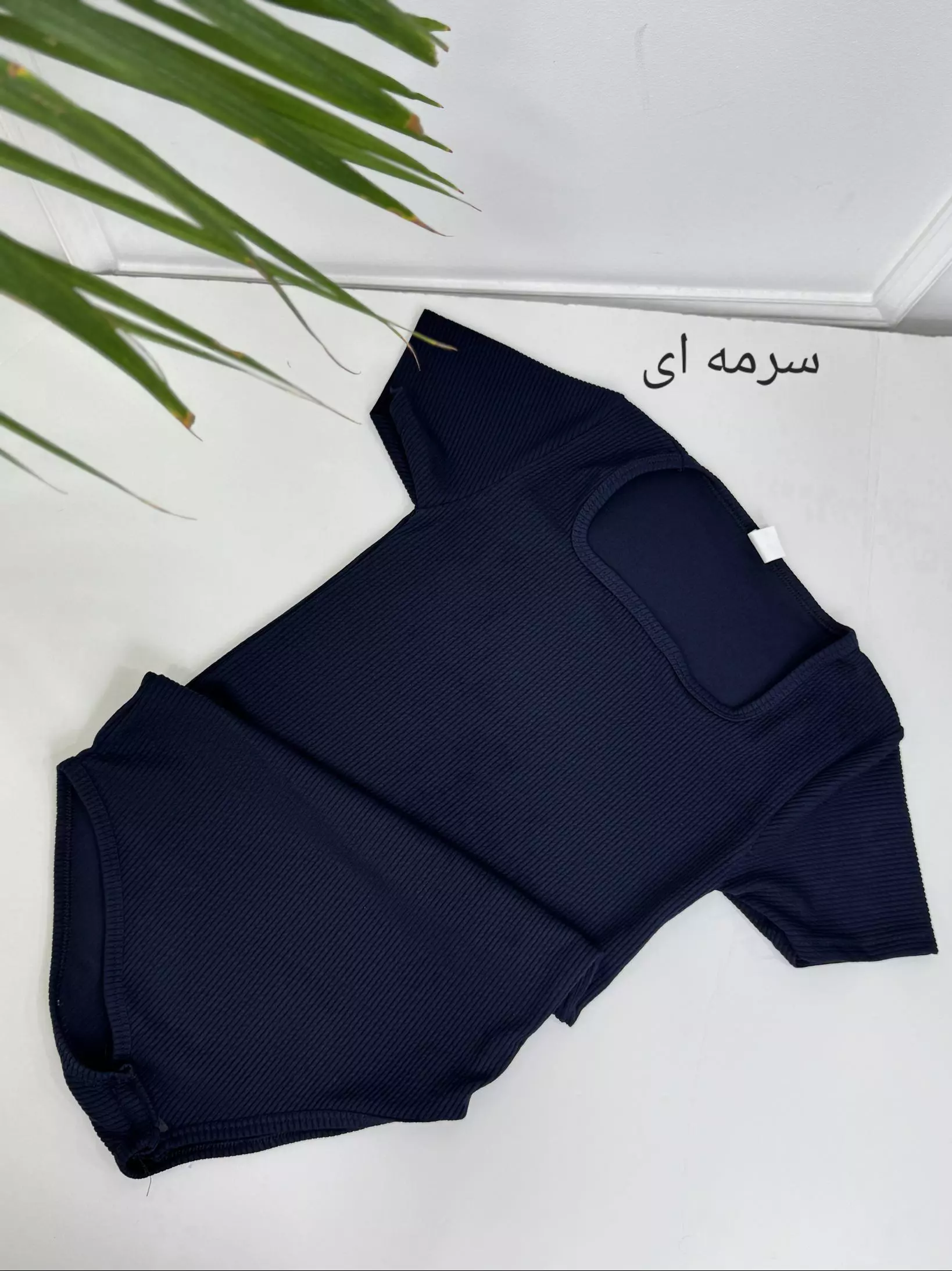 بادی آنیلا